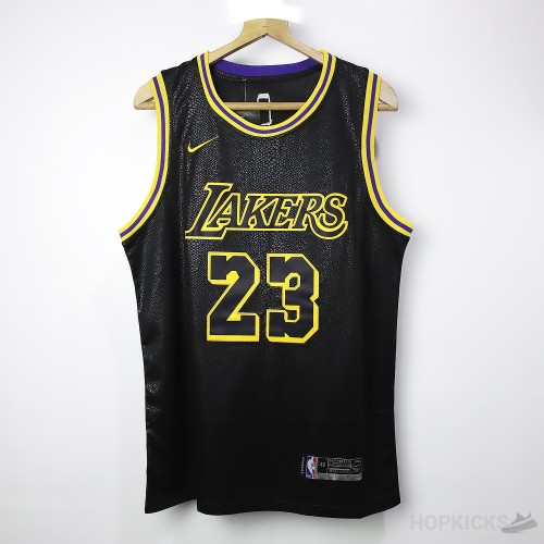 NBA Los Angeles Lakers No.23 James Black Jersey 